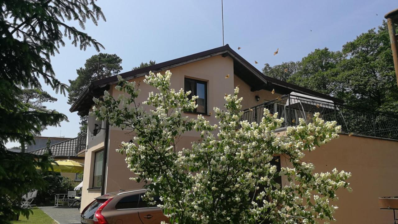 Willa Lysica Krynica Morska Exterior foto